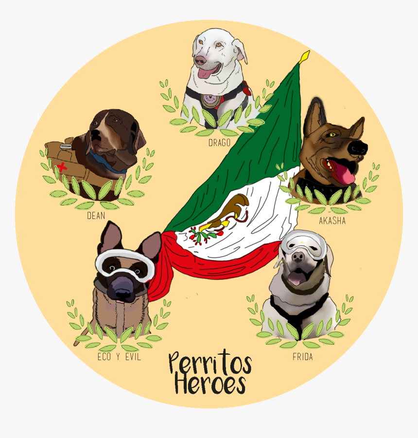 Perros Rescatistas 19 De Septiembre, HD Png Download