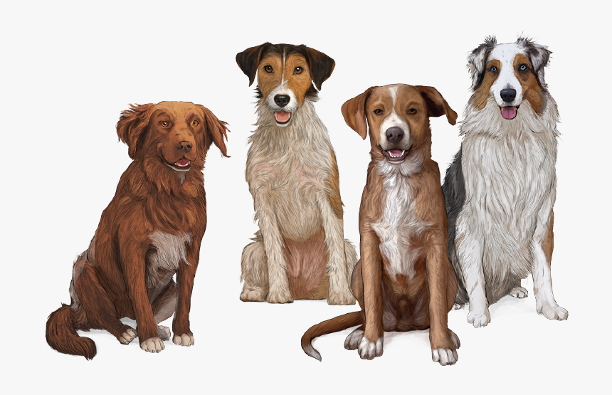 Mordeduras De Perros Prevencion, HD Png Download