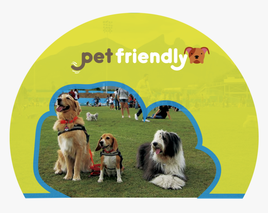 21317493 1210128705757854 7510850916501693870 N - Companion Dog, HD Png Download