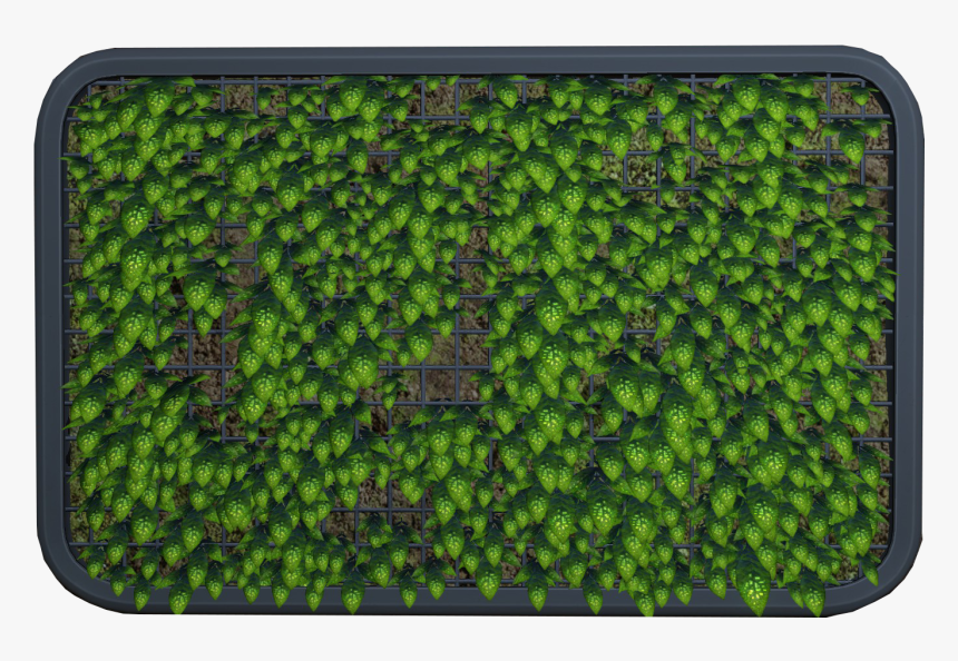 Subnautica Wiki - Green Algae, HD Png Download