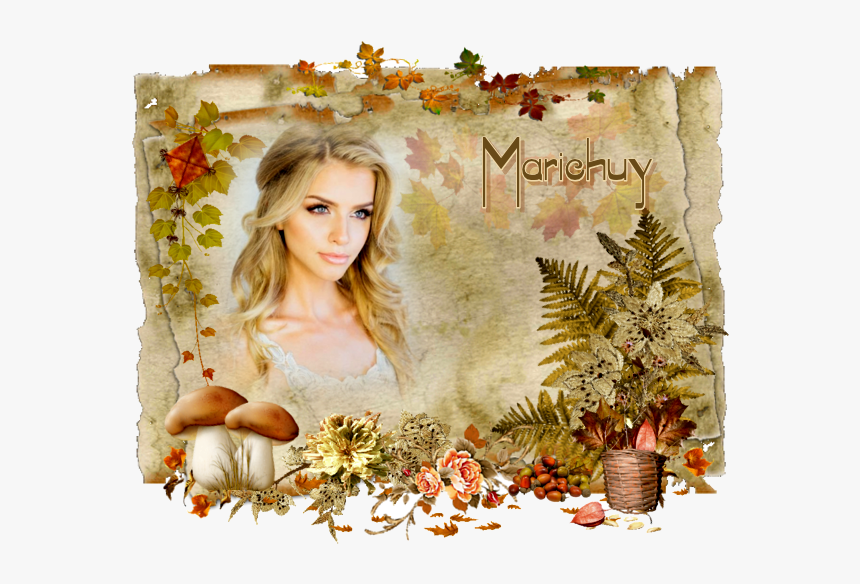 Garden Roses, HD Png Download