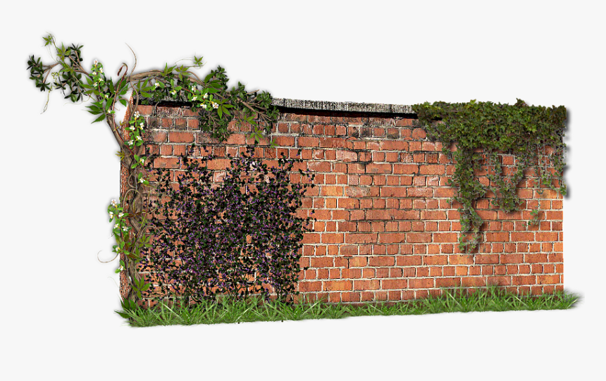 Muro Tranpatrente Png, Transparent Png