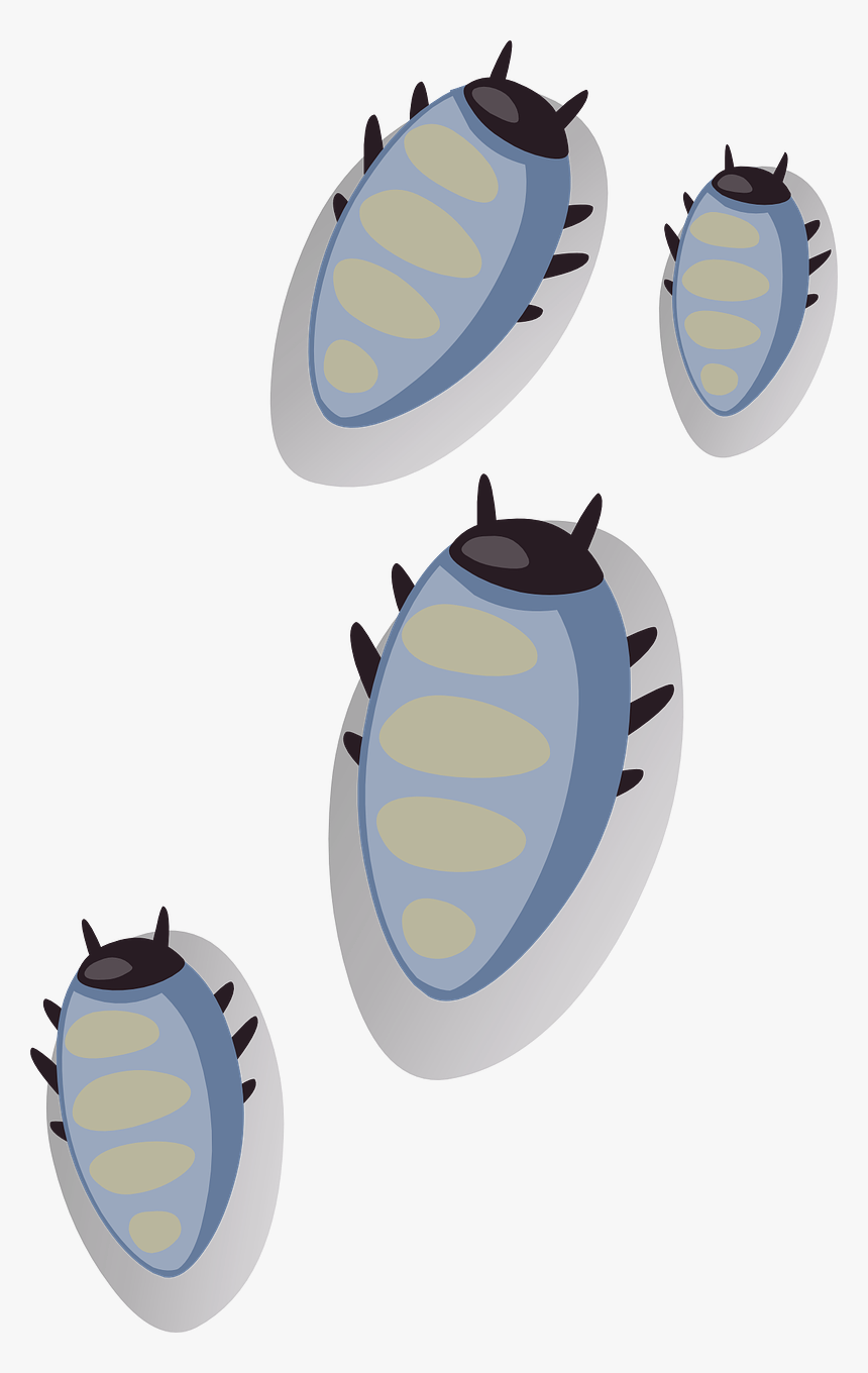 Bugs Svg, HD Png Download