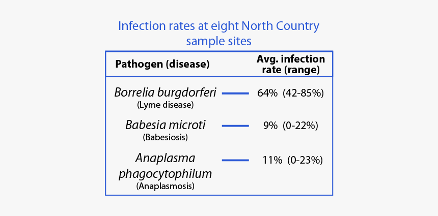 Screenshot, HD Png Download