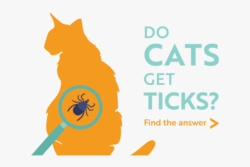 Artistic Do Cat Get Ticks Scene Illustration Artistic Do Cat Get Ticks Scene Illustration