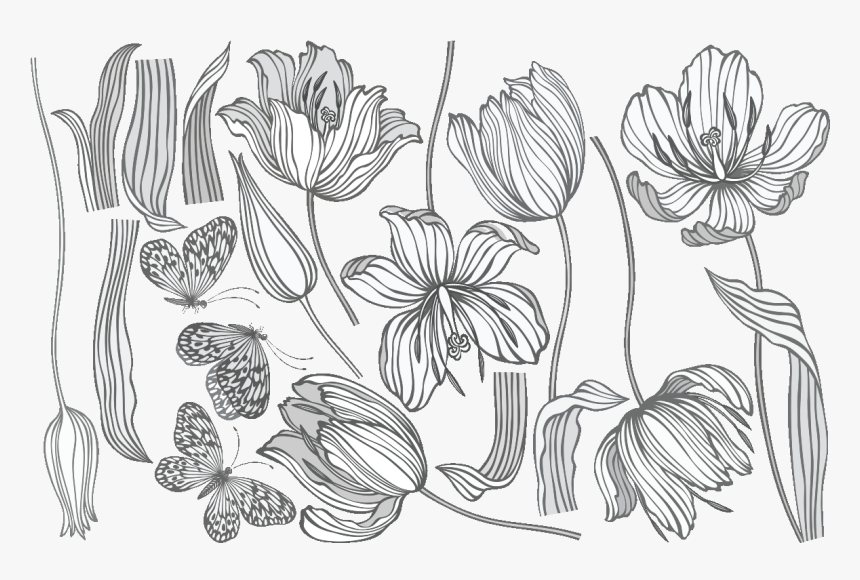 Sketch, HD Png Download