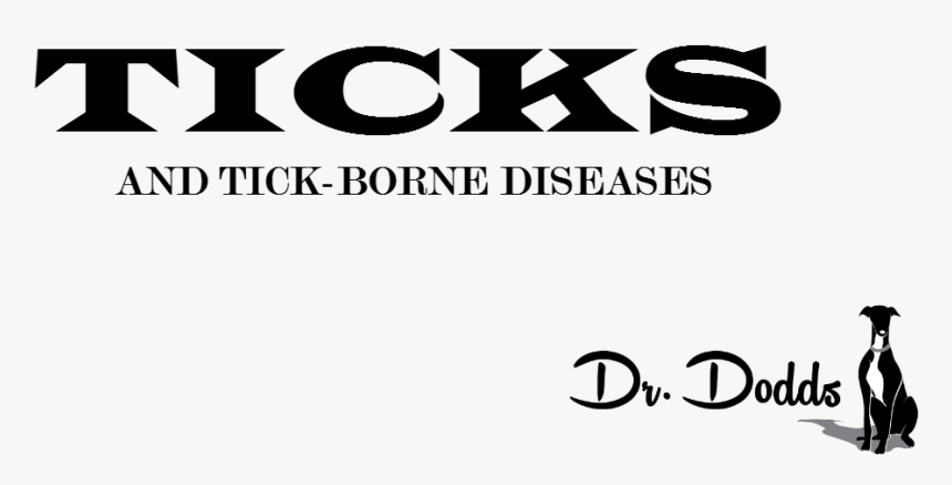 Graphics, HD Png Download