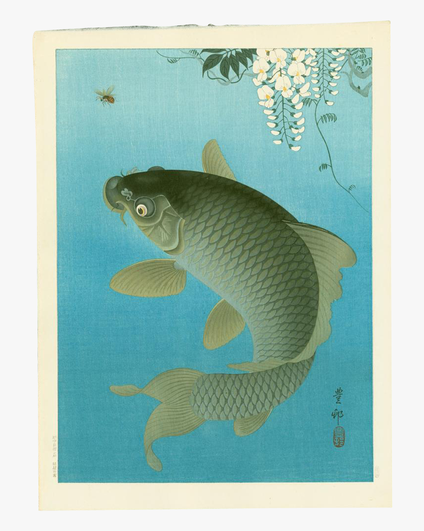 Ohara Koson Koi, HD Png Download