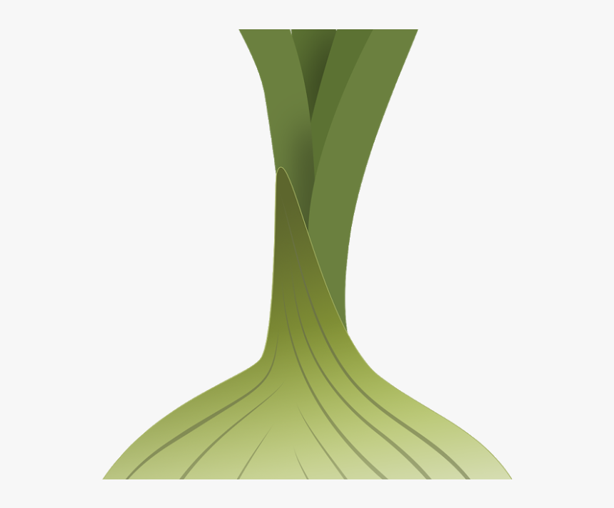 Transparent Cebolla Png - Vase, Png Download