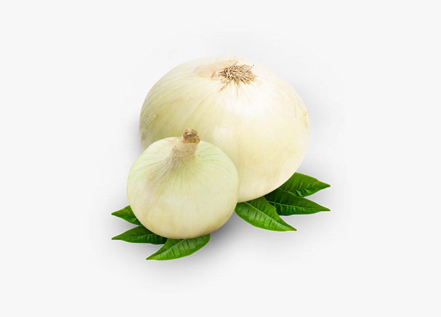 Garlic, HD Png Download