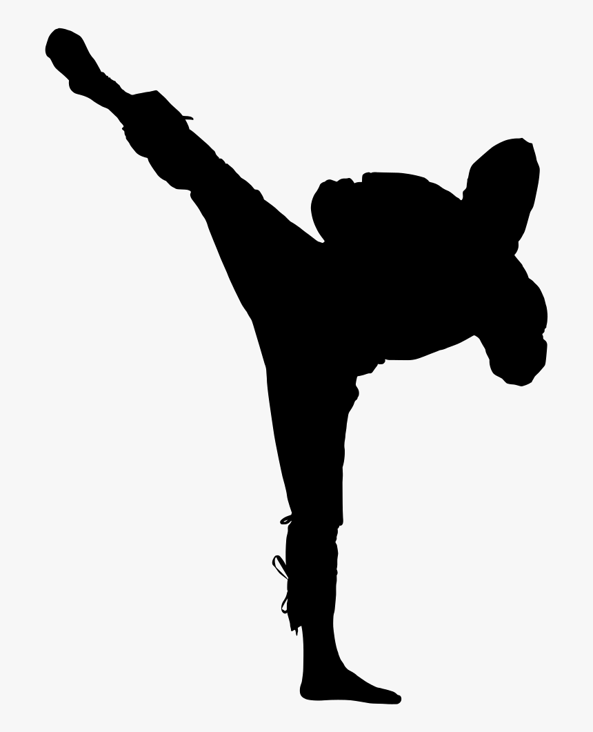 Ninja - Ninja Kicking, HD Png Download