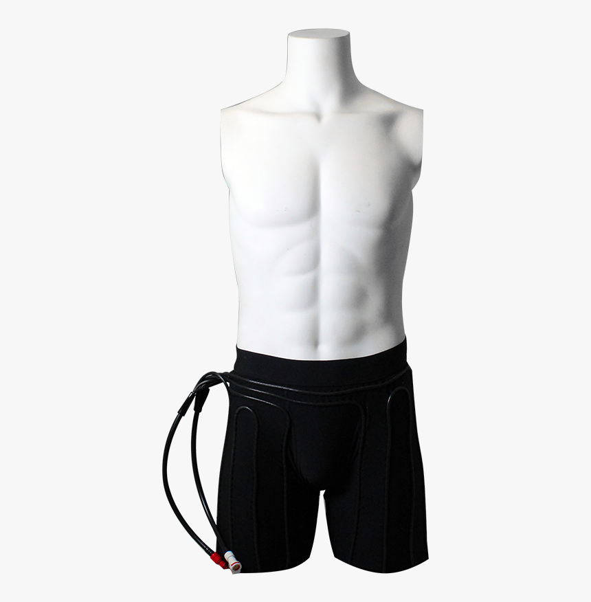 Shorts - Board Short, HD Png Download