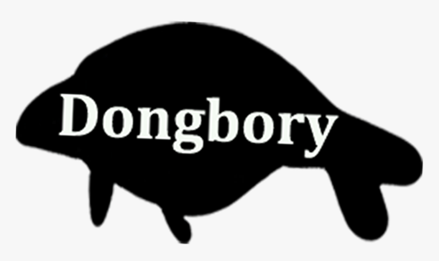 Turtle, HD Png Download