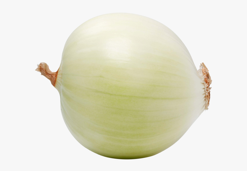 Yellow Onion, HD Png Download