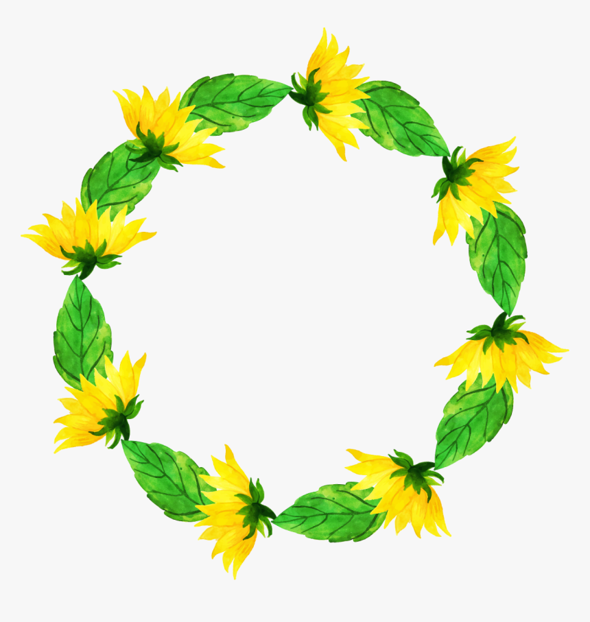 Sunflower, HD Png Download