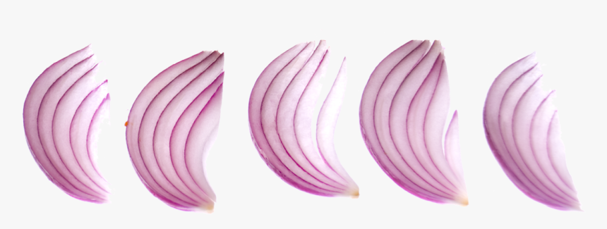 Cebolla Morada Pluma 01 - Earrings, HD Png Download