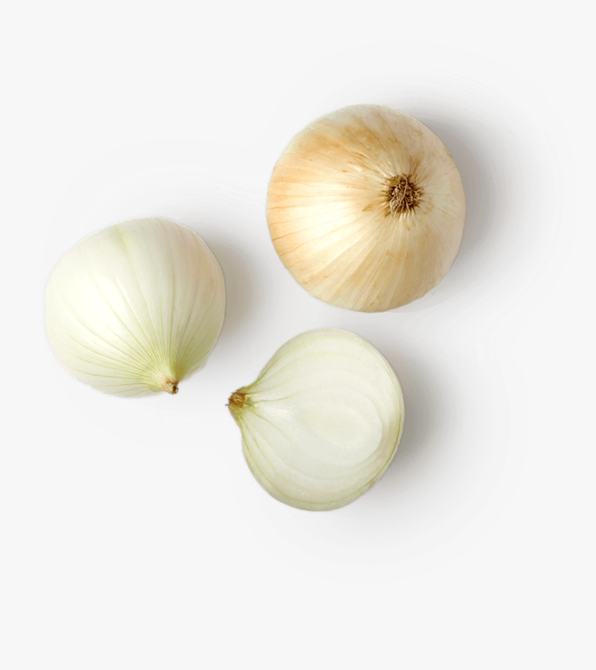 Elephant Garlic, HD Png Download