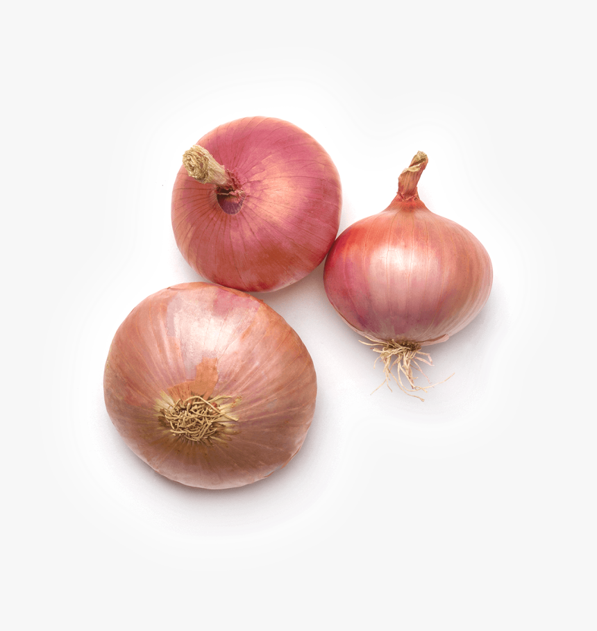 Cebolla De Figueres, HD Png Download