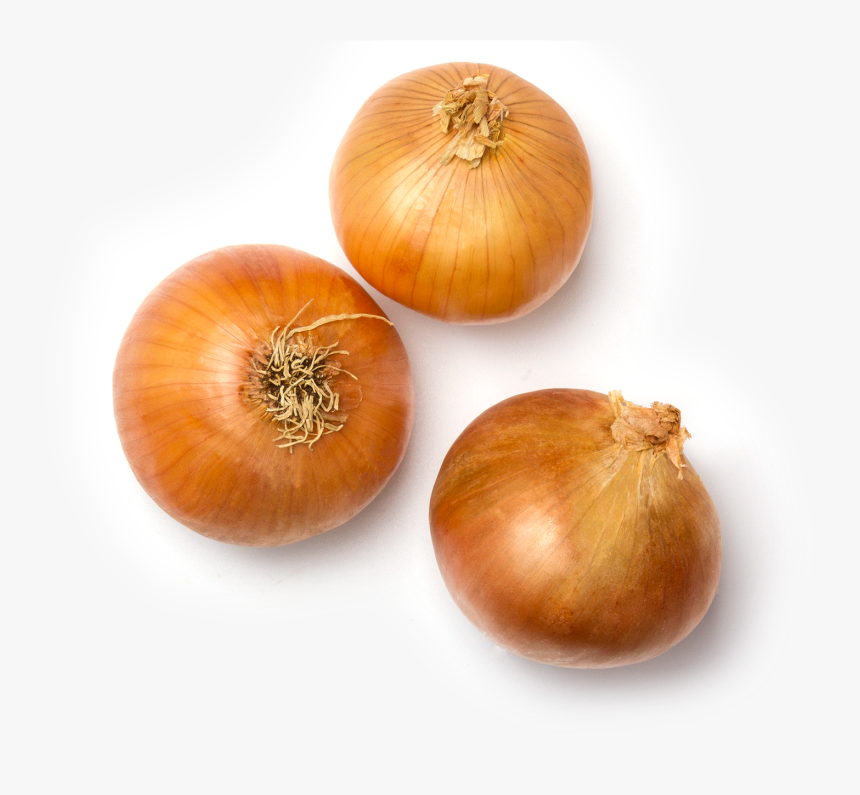 Yellow Onion, HD Png Download