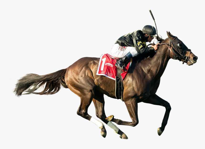Race Horse Cutouts Png, Transparent Png
