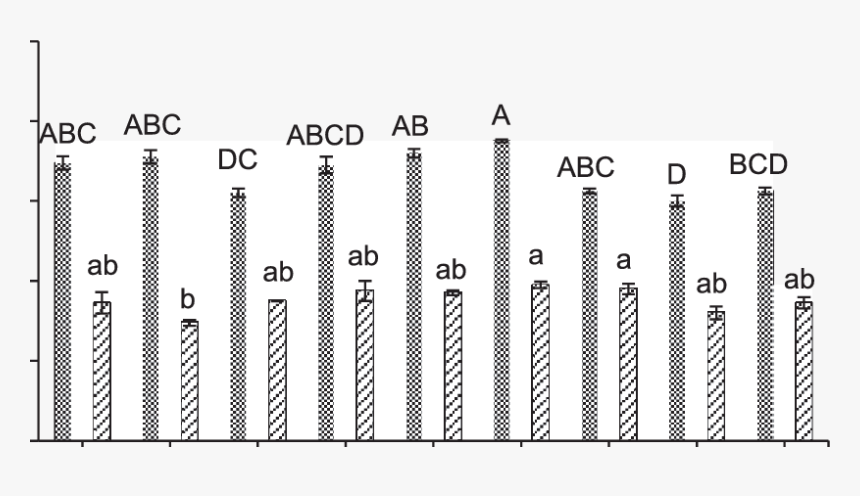 Screenshot, HD Png Download