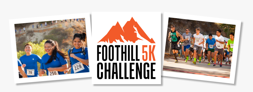 Transparent Renee Young Png - Running, Png Download