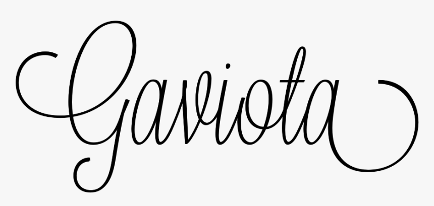 Gaviota - Calligraphy, HD Png Download