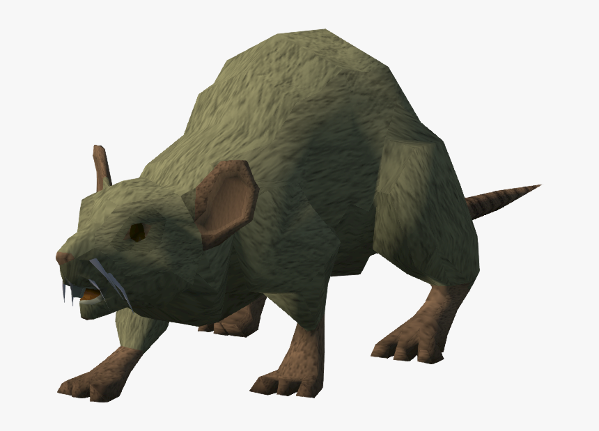 Punxsutawney Phil, HD Png Download