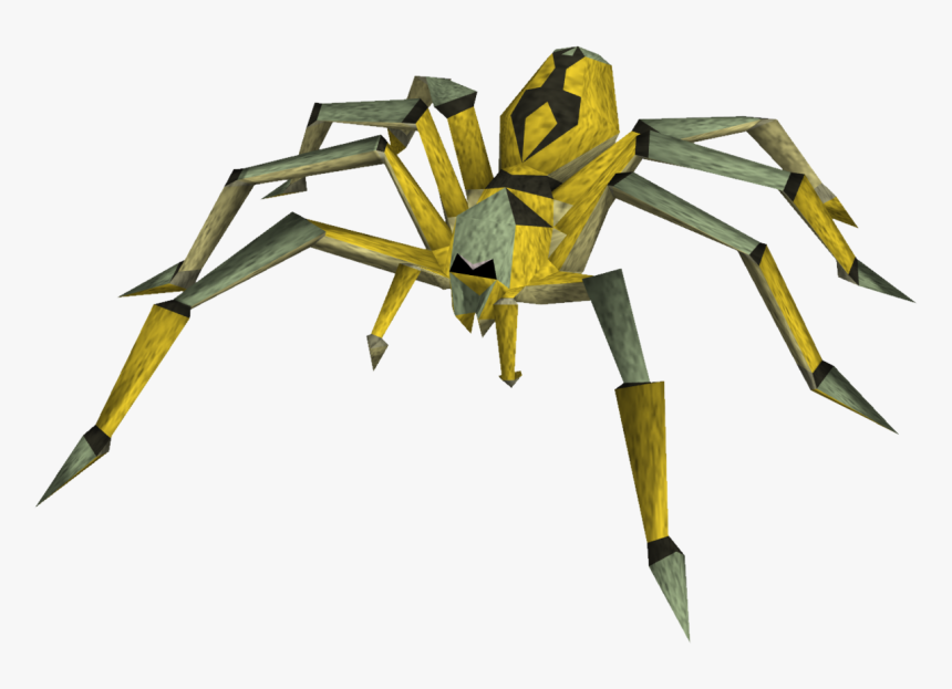 Araneus, HD Png Download