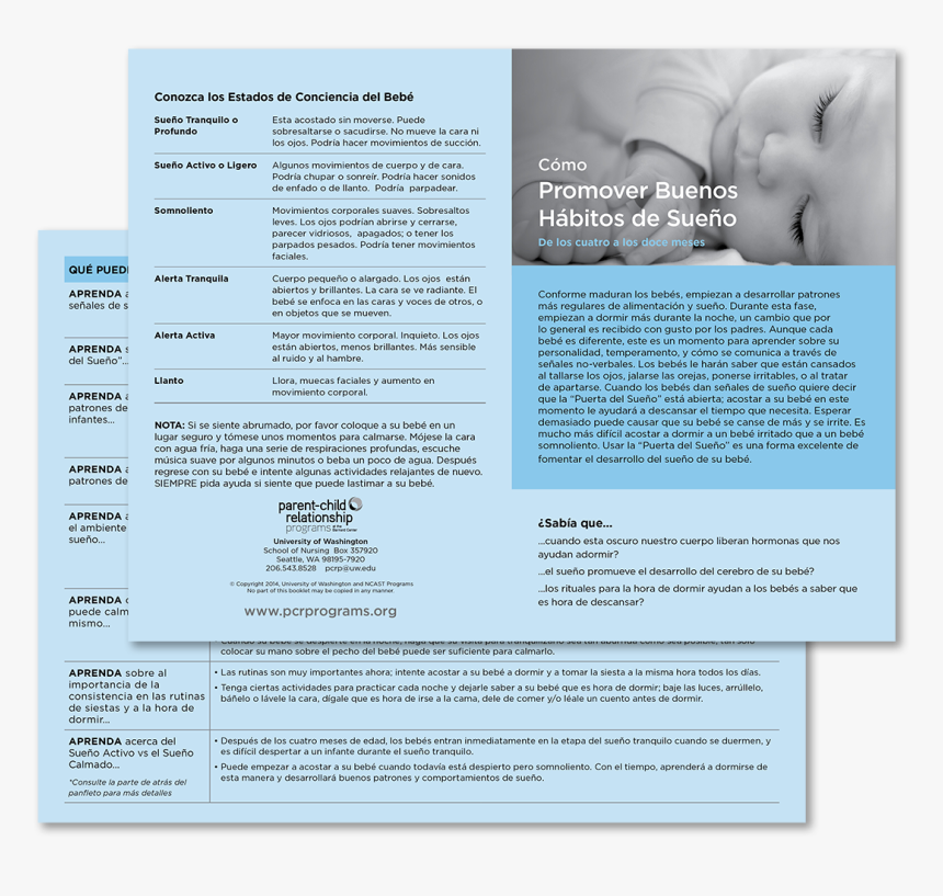 Brochure, HD Png Download
