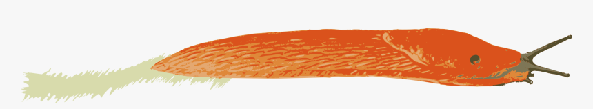 Wood, HD Png Download
