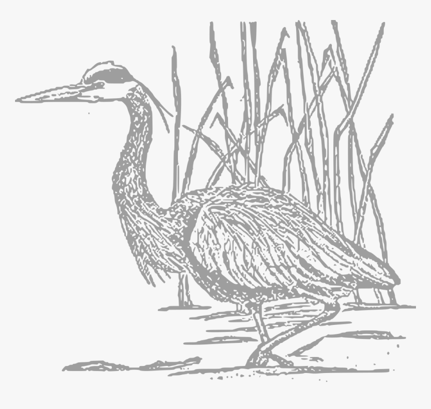 Herons Sketch Png, Transparent Png