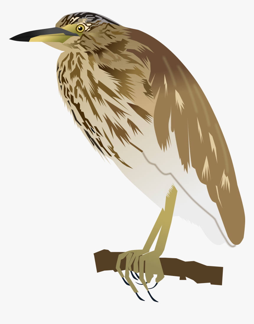 Heron, HD Png Download