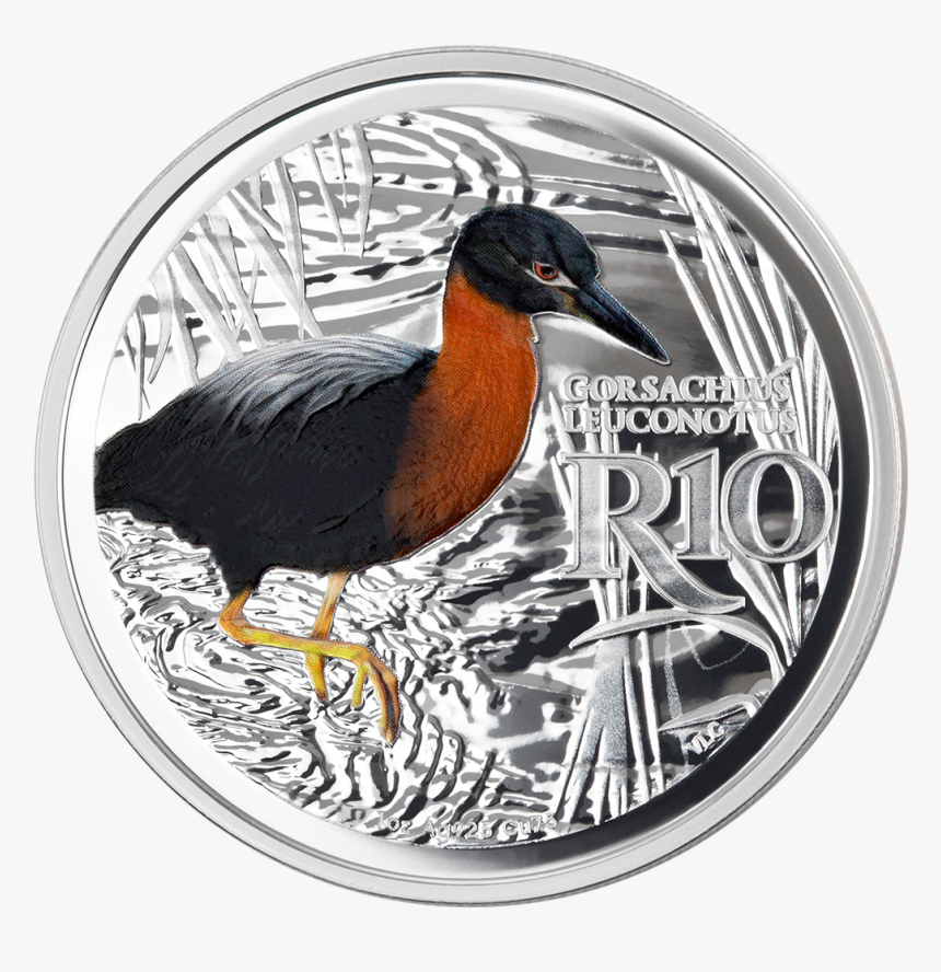 Itsue18017 1 - Duck, HD Png Download