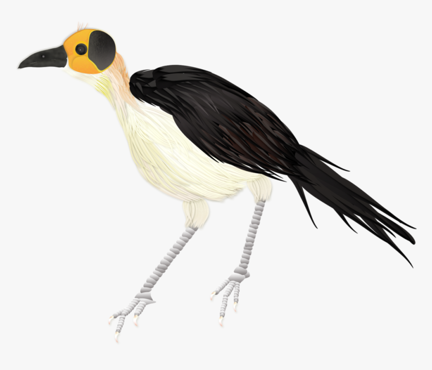 Picathartes Merged With Branch, HD Png Download