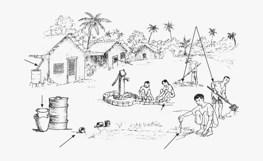 Zika-6a - Mosquito Breeding Places Clipart Black And White, HD Png Download