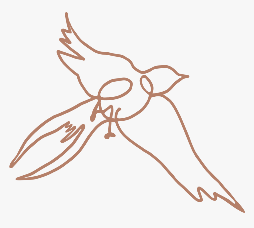 Kristin Cronic Bird Terracotta - Kristin Cronic Fine Art, HD Png Download