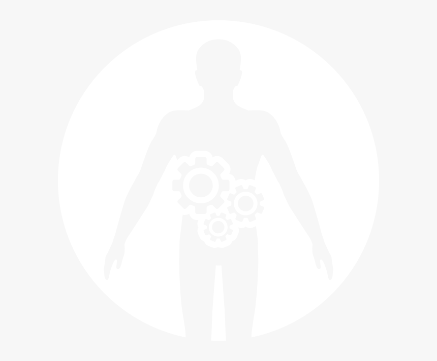 Illustration, HD Png Download