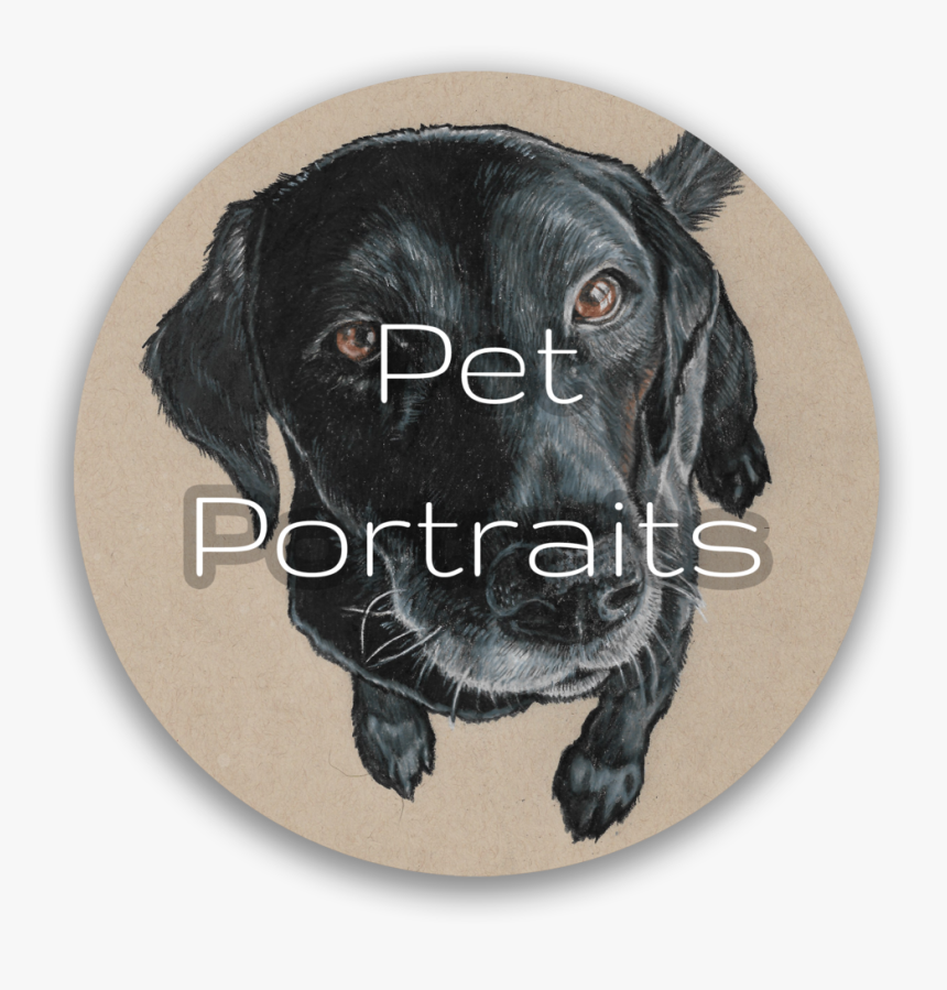 Pet Portrait Button - Labrador Retriever, HD Png Download
