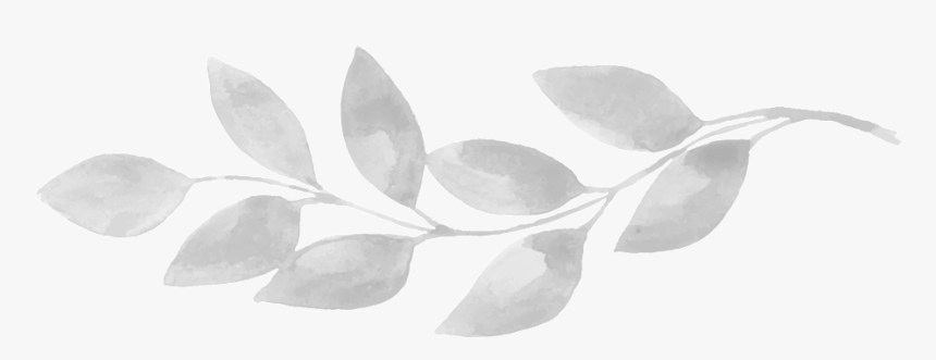 Leaf - Tree, HD Png Download