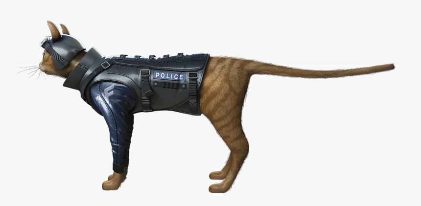 Crossfire Wiki - Cat M4a1, HD Png Download