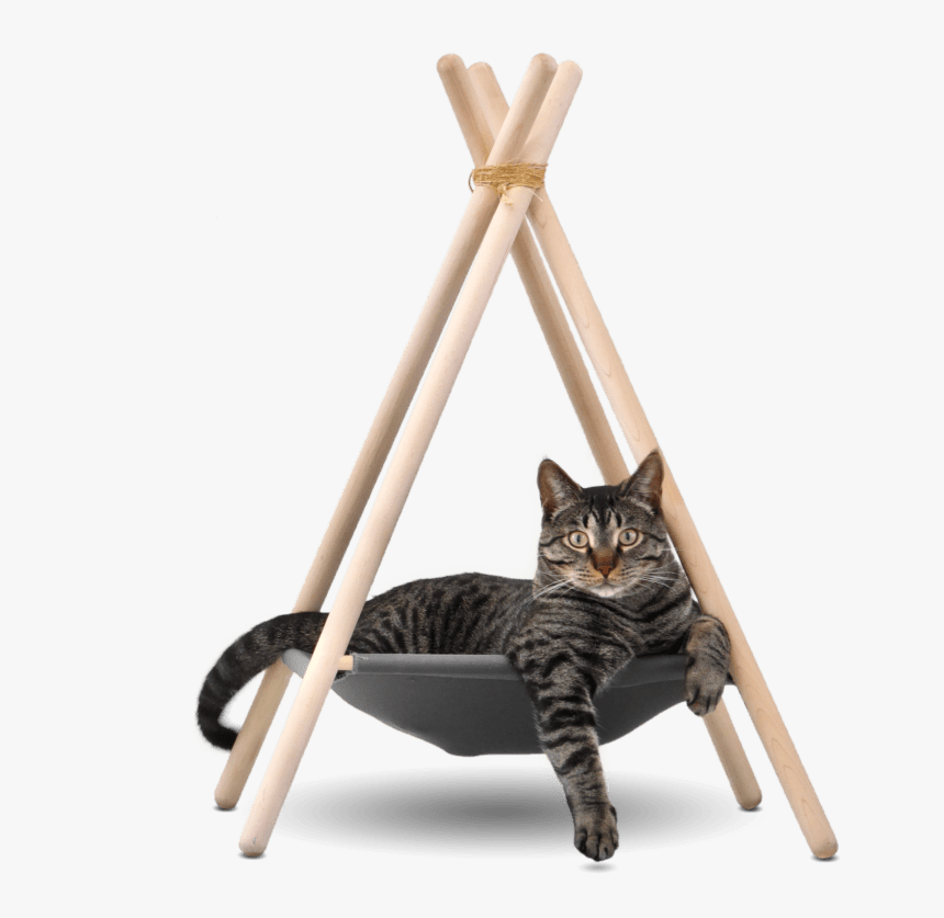 kitty teepee