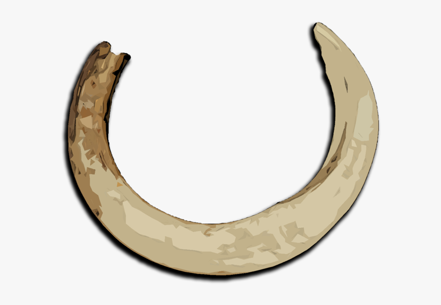 Boar Tusk Png Clipart , Png Download - Tusk Png, Transparent Png