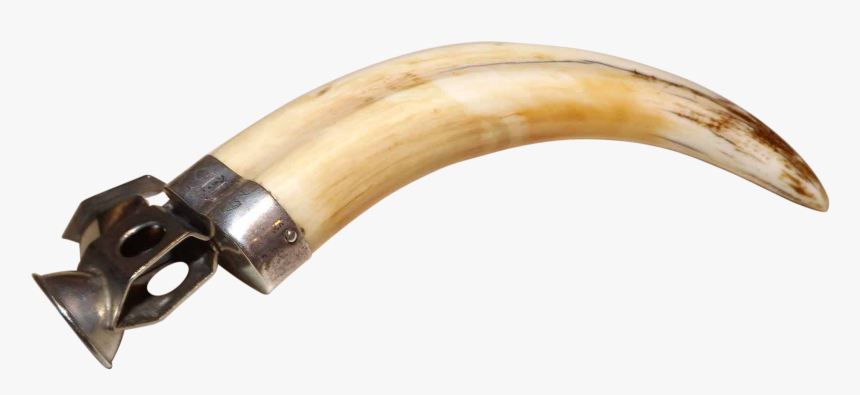 The Free Press Wv - Ivory Transparent Background, HD Png Download