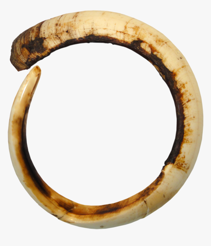 Body Jewelry, HD Png Download