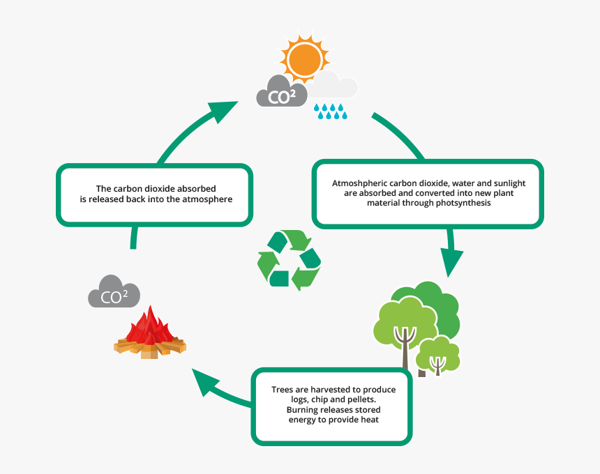 Carbon Cycle - Burning Wood Carbon Dioxide Release, HD Png ...