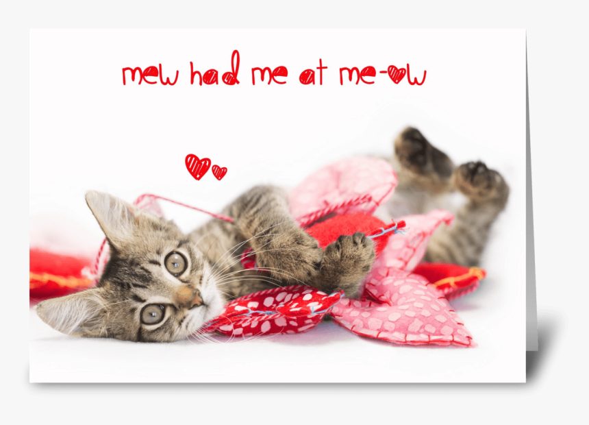 Tabby Kitten Meow Valentine Greeting Card - Cat Grabs Treat, HD Png Download