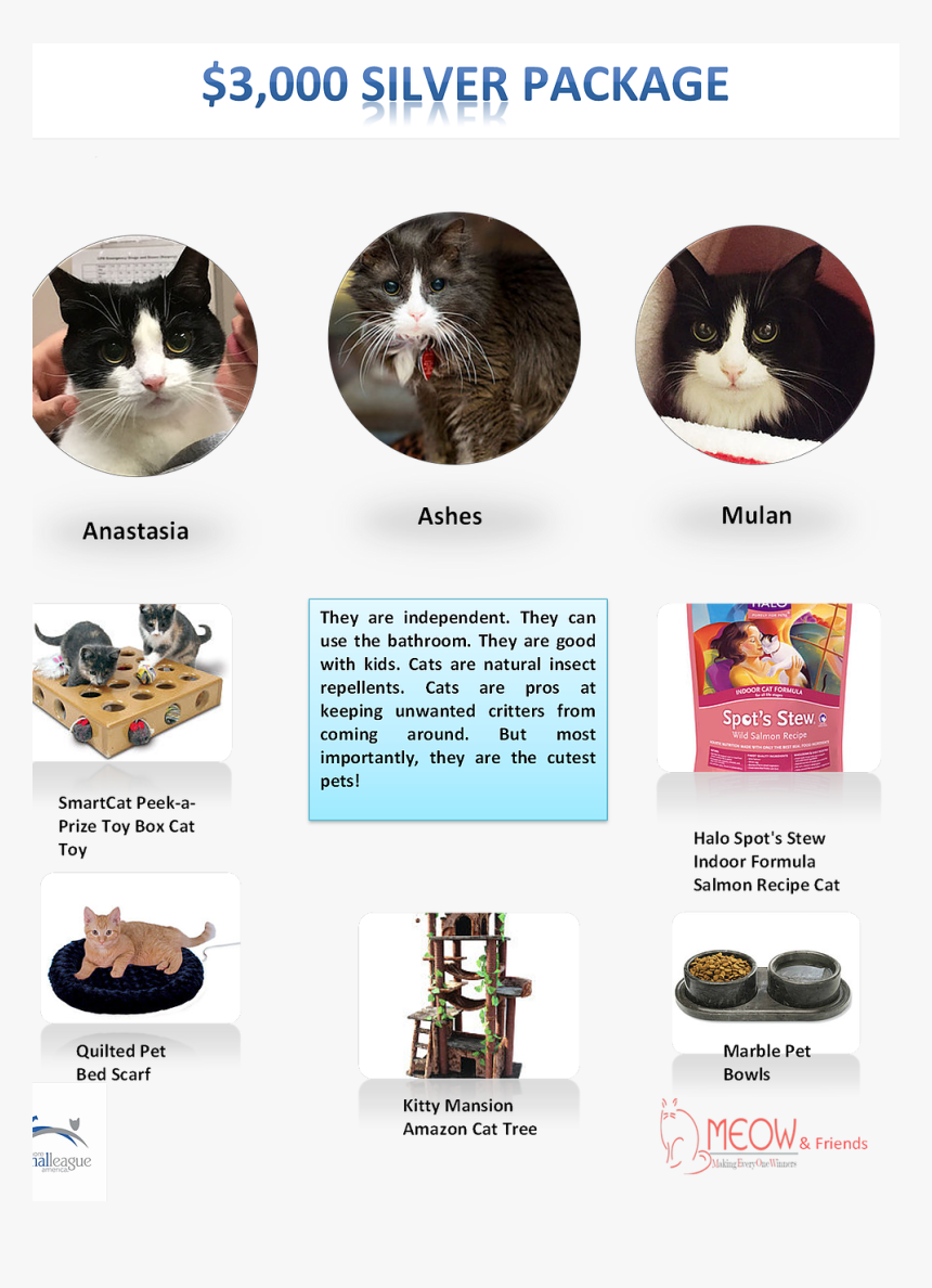 Cat Grabs Treat, HD Png Download