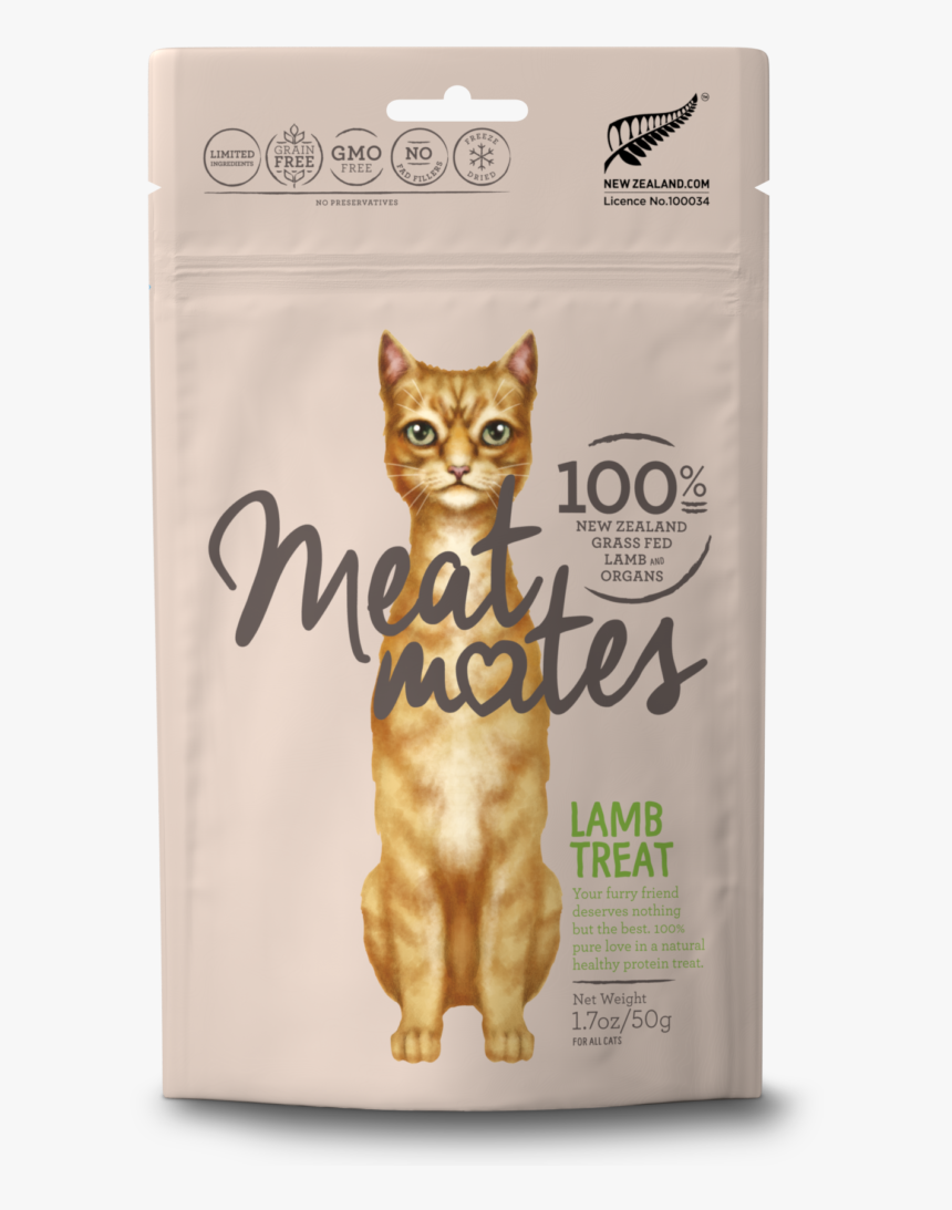 Kitten, HD Png Download