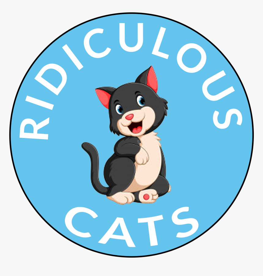 Barton Community Band, HD Png Download